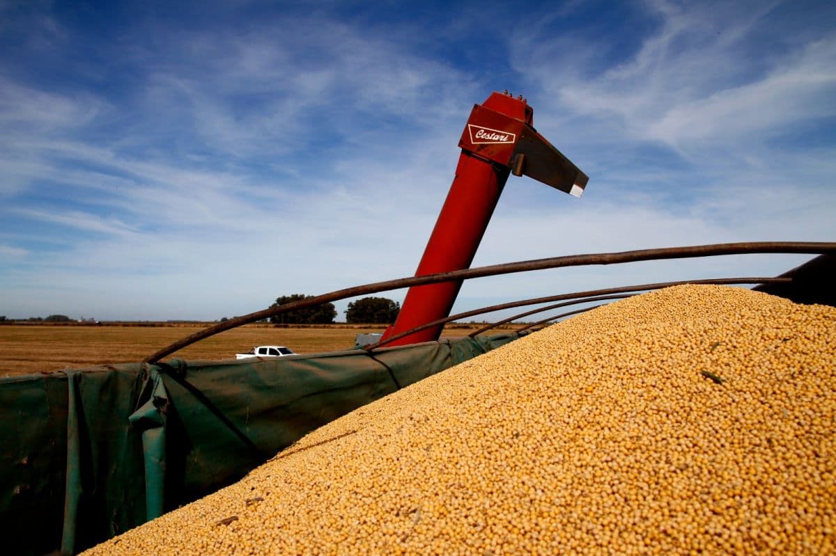 Campaña gruesa 2026/27: el agro apunta a 157,9 millones de toneladas y casi US$ 41.500 millones en exportaciones