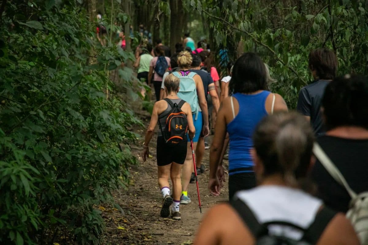 “Guardianes de las Yungas”: Yerba Buena convoca a capacitarse en interpretación ambiental