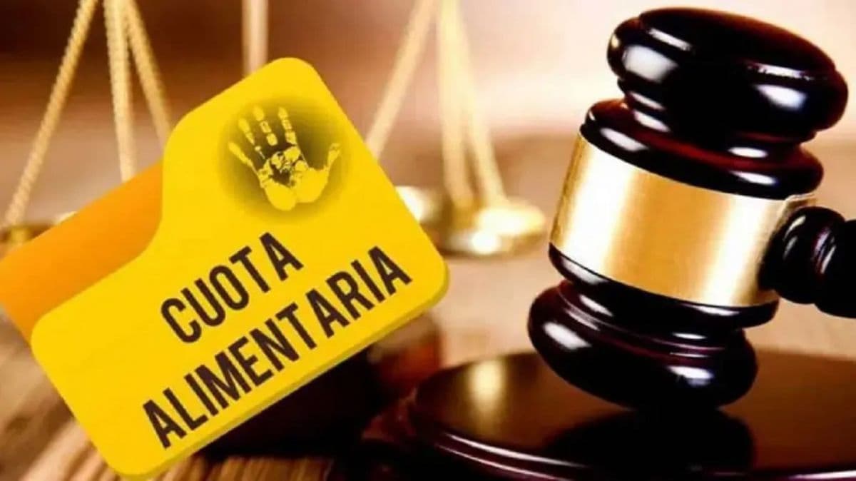 Cortan streaming y carnet de conducir a un padre con deuda alimentaria de casi $4 millones