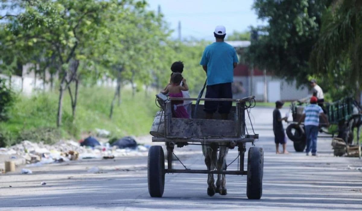 Tras tres trimestres en baja, la pobreza alcanza el 32,3% en el primer semestre de 2026