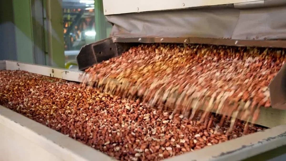 Manisur acude a la Justicia de La Carlota: el pasivo de la manisera cordobesa supera los $20.000 millones