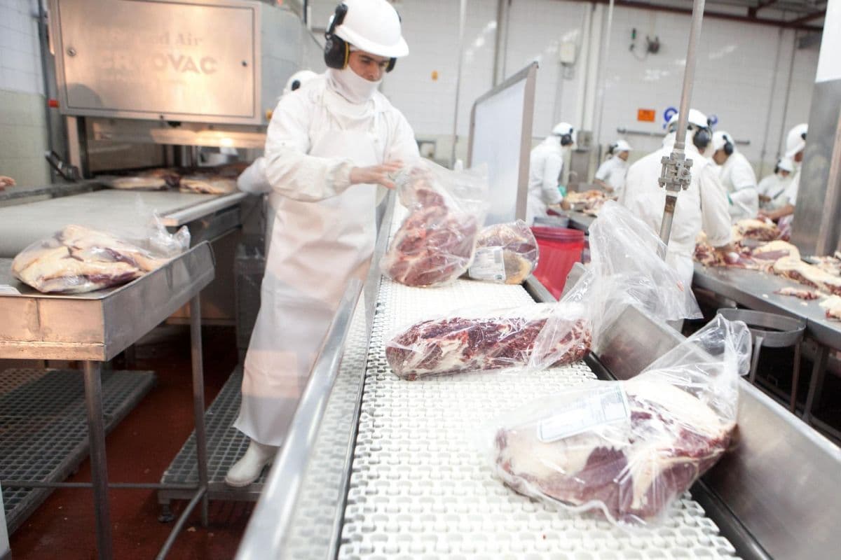 Tras dos décadas, Japón autoriza nuevamente la carne vacuna argentina en un mercado de u$s 3.000 millones