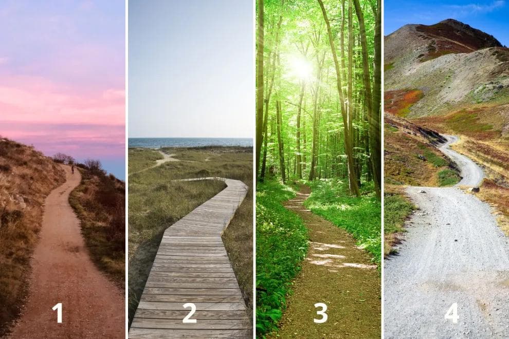 Un test visual de cuatro senderos expone qué te mueve en la vida